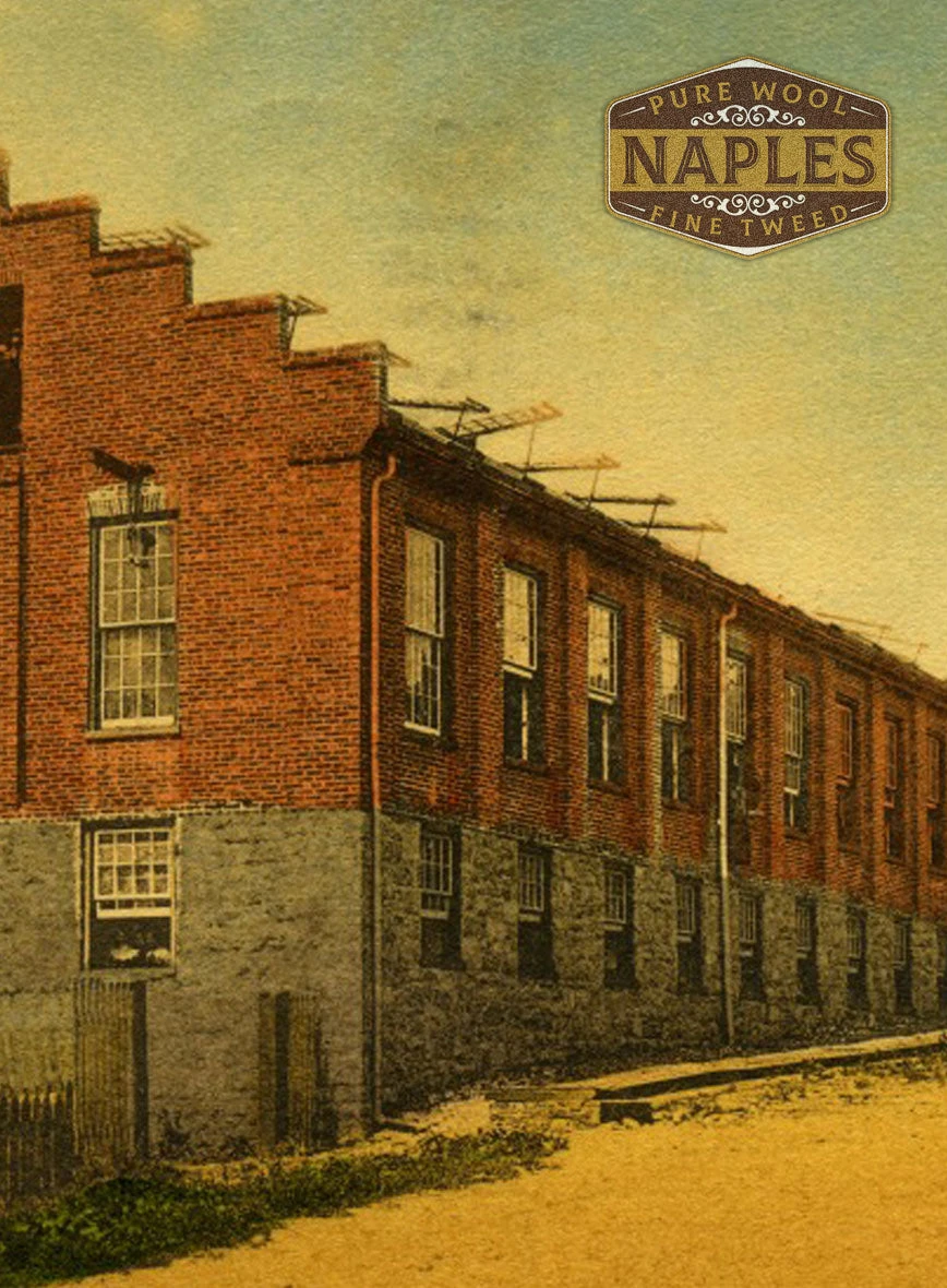 Naples Muted Green Tweed Suit - Image 7