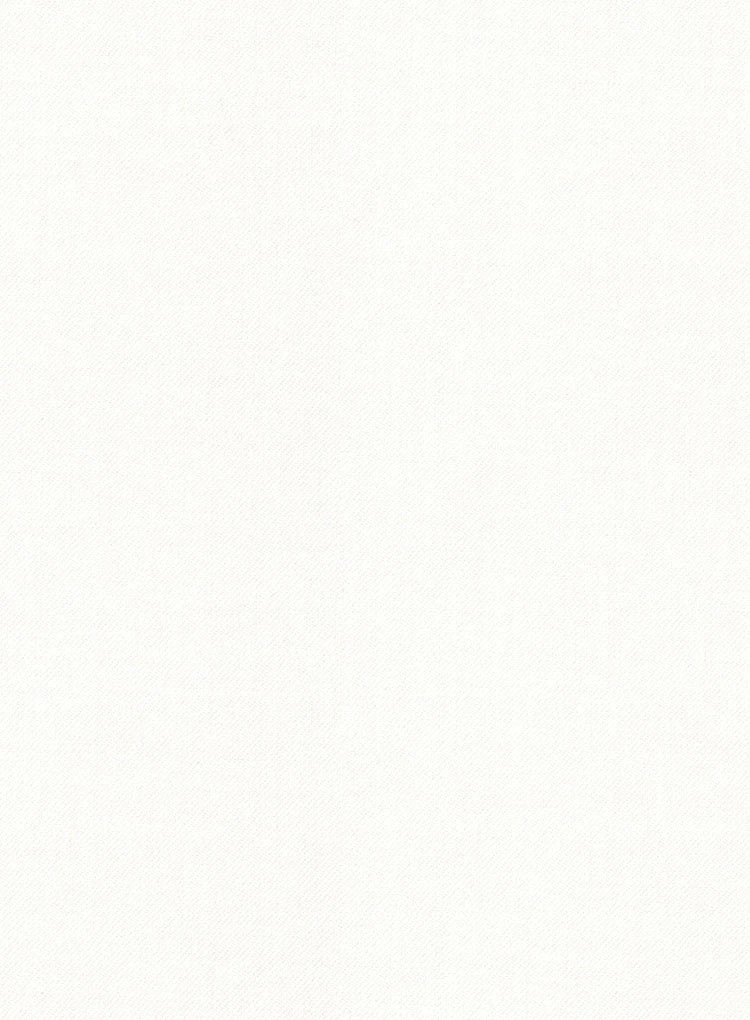 Ivory Tuxedo Suit - Image 2